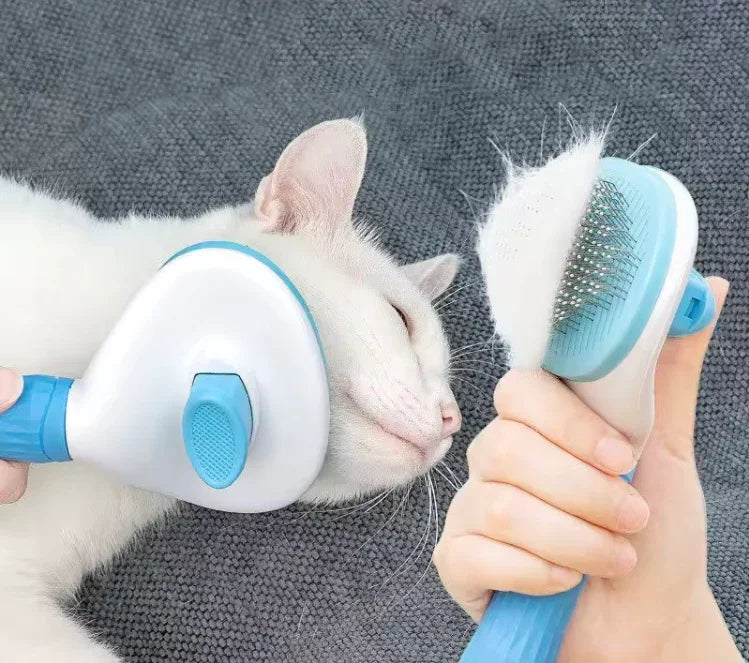 Escova prêmio para gato